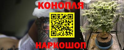 spice Канаш
