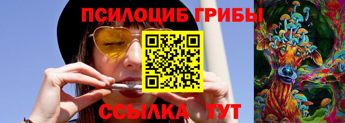 Псилоцибиновые грибы Psilocybe Копейск
