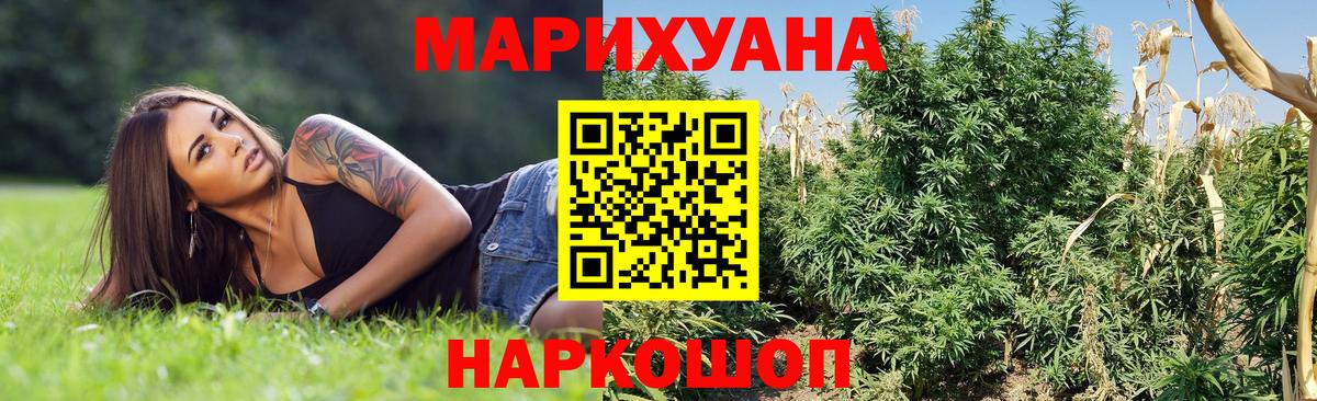 Бошки марихуана семена  Бошки марихуана Bruce Banner  Копейск  Марихуана сатива  Вход с VPN 